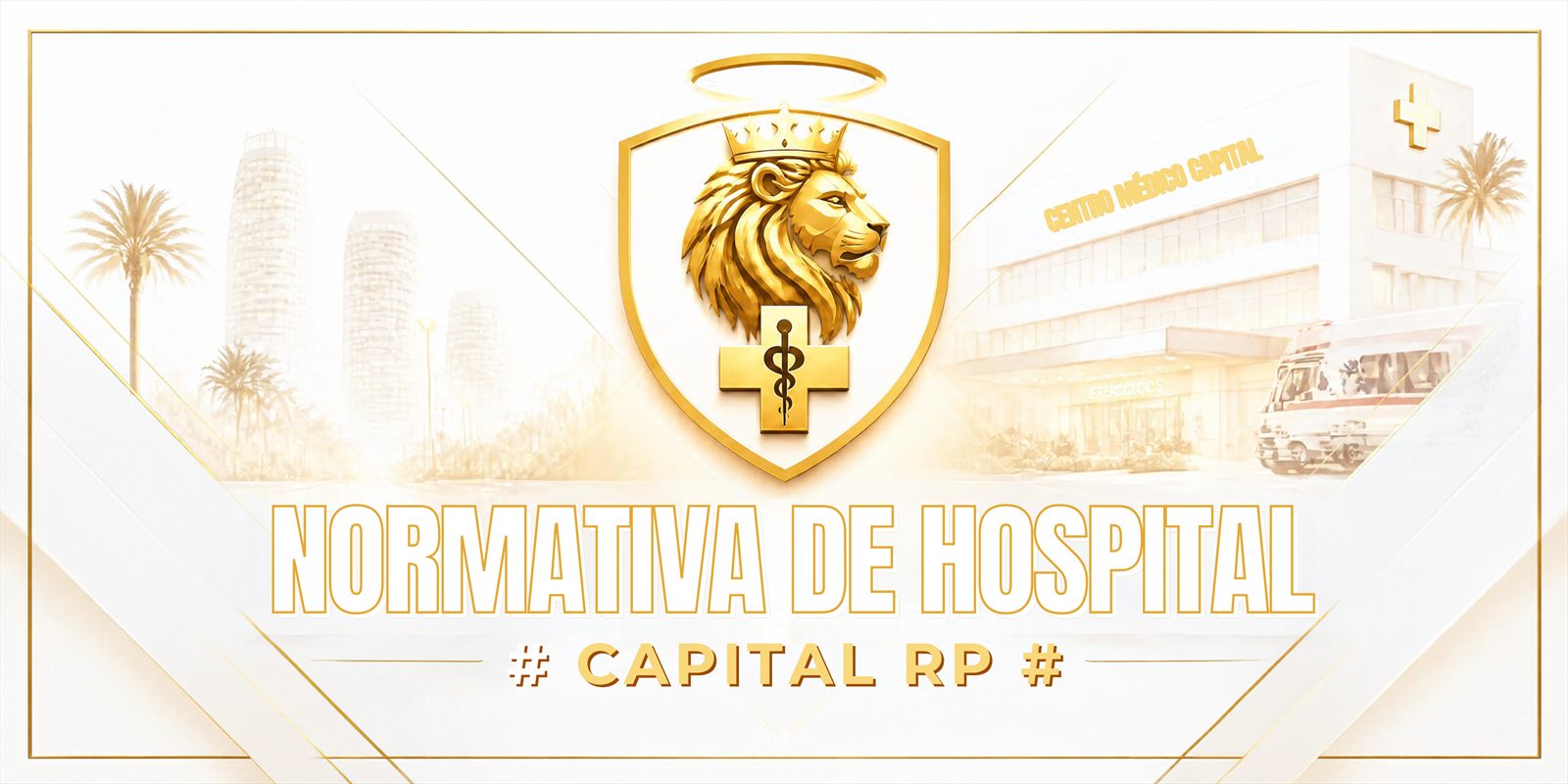 Normativa de Hospital — Capital RP